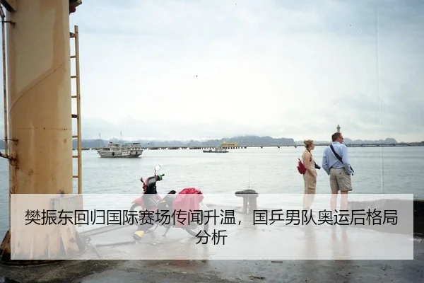 樊振东回归国际赛场传闻升温，国乒男队奥运后格局分析
