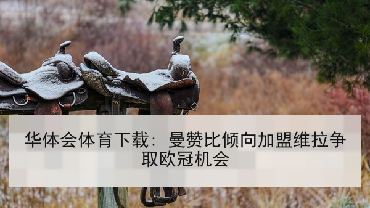 华体会体育下载: 曼赞比倾向加盟维拉争取欧冠机会