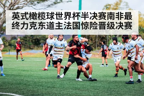 英式橄榄球世界杯半决赛南非最终力克东道主法国惊险晋级决赛