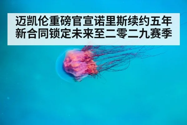 迈凯伦重磅官宣诺里斯续约五年新合同锁定未来至二零二九赛季